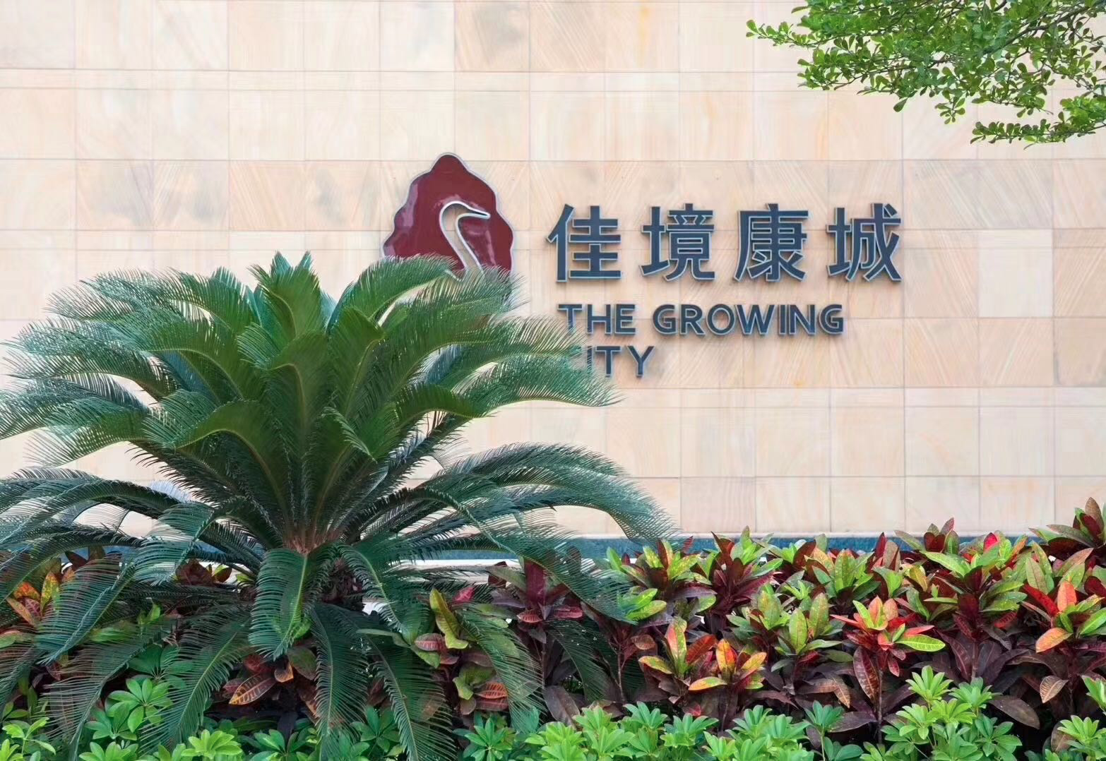 1627194578322830.png WeChat9542829a3242c1904b5c8da196e34788.png